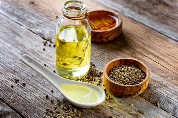 الفوائد الصحية لتناول بذور القنب وزيت بذور القنب